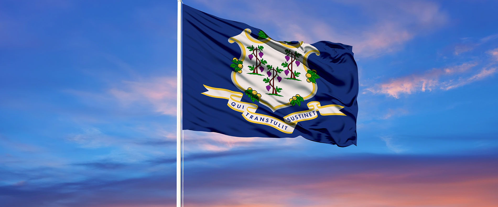 Photo of Connecticut State flag